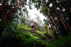 BIB: 
                            <button type="button" onclick="openModal(26202809)" class="btn btn-primary btn-sm float-right btn-popup" data-toggle="modal" data-target=".modal-high-quality">
                        <i class="fas fa-shopping-cart"></i> Add to Cart
                    </button>
                                            <button type="button" onclick="isThisMe(26202809, true)" class="btn btn-success btn-sm float-right btn-popup btn-isme hidden" data-toggle="tooltip" data-placement="bottom" title="นี่คือรูปของคุณใช่ไหม คลิกที่นี่เพื่อเอาเข้าอัลบั้ม">
                        <i class="fas fa-plus"></i> Add to album
                    </button>
                    <button type="button" onclick="isThisMe(26202809, false)" class="btn btn-warning btn-sm float-right btn-popup btn-isnotme hidden">
                        <i class="fas fa-ban"></i> Remove from album
                    </button>